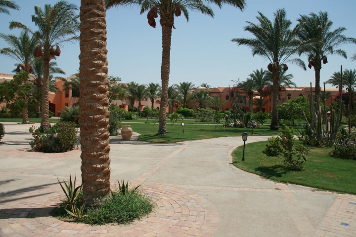 Vakantie Egypte 2010-210.jpg